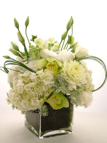 BLANCO BLANCO / DISPONIBLE AUSSI EN ROUGE